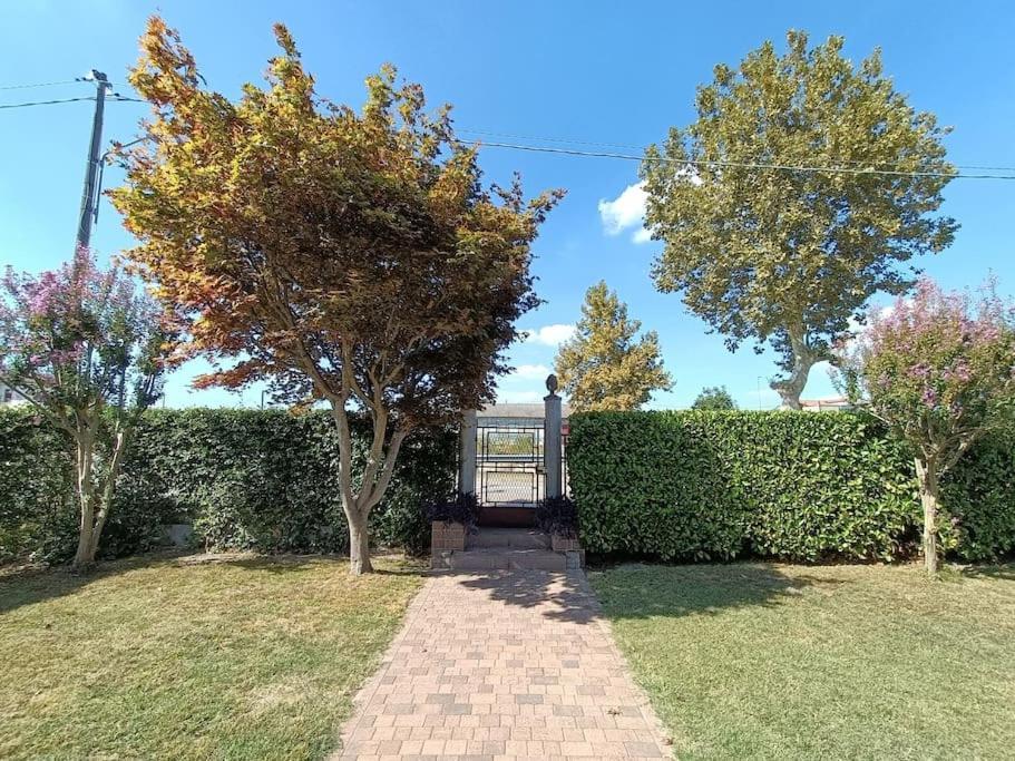 B&B We Care Appartamento Lendinara Exterior photo